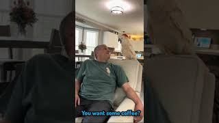 Tango Anger on me shorts 🤬🤬🦜viralvideo video parrot shortvideos shortvideo shortsvideo [upl. by Llerahs]