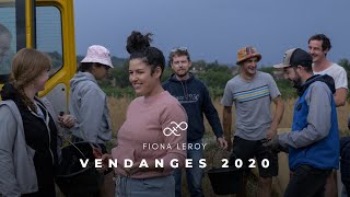 Domaine Fiona Leroy  Vendanges 2020 [upl. by Esirtal]