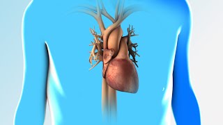 Heart Failure  Discharge Instructions  Nucleus Health [upl. by Allix801]