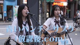 【青いベンチ／サスケ】 cover 放課後com（こはく・しゅう） [upl. by Synn638]