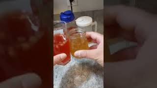 Agua de kefir 2da fermentacion [upl. by Odette113]