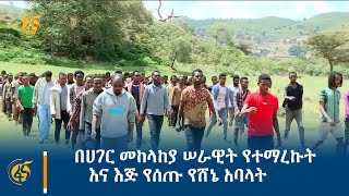 በሀገር መከላከያ ሠራዊት የተማረኩት እና እጅ የሰጡ የሸኔ አባላት [upl. by Nielson167]