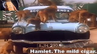 HAMLET CIGAR AD  SCOTT AND BRENDA  DISMANTLING CAR MONKEYS [upl. by Grissel]