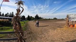 Pumpkin outdoor at Knutson Farms on 09132024 4K QUALITY [upl. by Lewse]