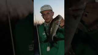 Catch Big Bass Fish Thrilling Adventure on the Water [upl. by Diehl]