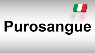 How to Pronounce Purosangue [upl. by Hurst]