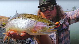 BEGINNERS Guide To Successful TROUT Fishing  3 Detailed Trout Tactics [upl. by Ahsimik]