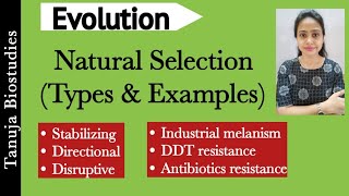 Natural Selection  Types and Examples of Natural Selection  Hardy Weinberg Principle Part2 NEET [upl. by Olmsted]