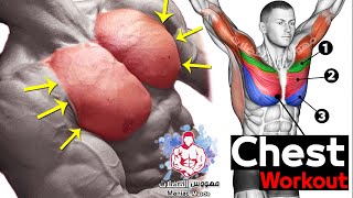 Best 6 Chest Workout  Full Exercises  Maniac Muscle  BarbellDumbbellBodyweight  Pec Workout [upl. by Assiled]