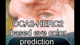 I BROUGHT GEDMATCH EYE COLOR PREDICTOR BACK [upl. by Sille]