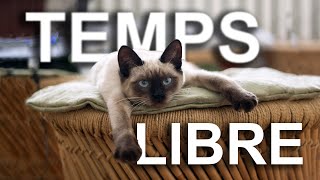 TEMPS LIBRE  PAROLE DE CHAT [upl. by Ianaj]