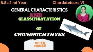 Chondrichthyes classification up to order bsc 2nd yearchondrichthyeschordatesbsc2ndyearzoology [upl. by Mcnutt]