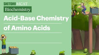 Acid Base Chemistry of Amino Acids  Sketchy MCAT Biochemistry [upl. by Mmada]