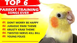 PARROT TRAINING SONGS EVERWhistle TrainingTeach Your BirdCockatiel SingingBudgie [upl. by Gladdy]