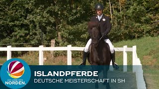 Deutsche Islandpferde Meisterschaft in Ehndorf bei Neumünster [upl. by Beattie45]