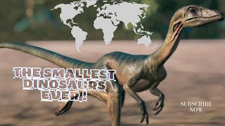 quotTop 10 Small Dinosaurs from the Jurassic Periodquot [upl. by Klusek]