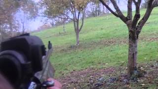 2013 11 17  chasse au grand gibier  sanglier biche daguet [upl. by Nylatsirhc]