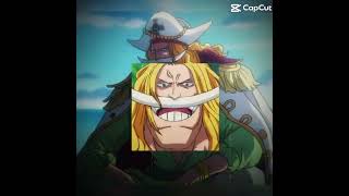 Whitebeard EditOne Piece onepiece anime edit [upl. by Eelinnej183]