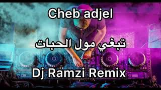 Cheb adjel tabghi mol lhabat Dj Remix by Ramzi [upl. by Anastassia355]