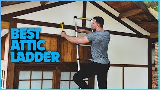 A Comprehensive Guide to the Best Attic Ladders [upl. by Aissatsana]