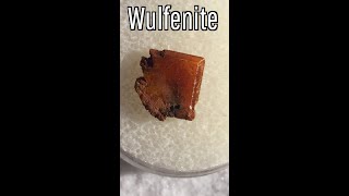 The Rare State Mineral of Arizona Wulfenite [upl. by Anilad]