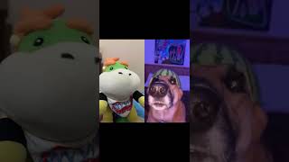 El perro sandía existe 😨 mario bowserjr perros [upl. by Teodoro]