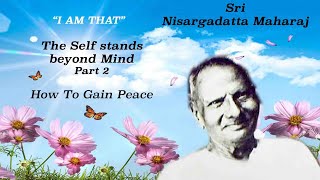 Nisargadatta Maharaj  I Am That  Item 8 Part 2 The Self Stands Beyond Mind How to gain Peace [upl. by Lanna315]