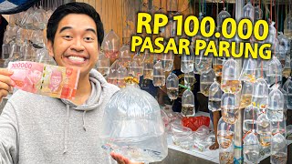 HUNTING HEWAN APAPUN RP 100000 DI PASAR IKAN PARUNG TERLENGKAP [upl. by Kerekes]