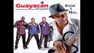 Orquesta Guayacan  Tenaz Luchador [upl. by Nnylaf]