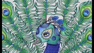 Blossomed Illusions Peacock Time Lapse  Adult Coloring  LeftHanded Artist  Crayola [upl. by Sinnard491]