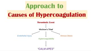 quotExcessive Clottingquot HYPERCOAGULATION  Virchow’s Triad  Causes of Venous and Arterial Thrombosis [upl. by Notserk]