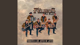 Jefe De Jefes [upl. by Roxanne]