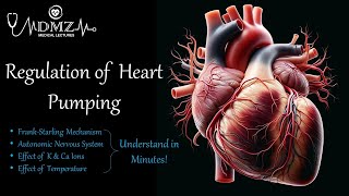 Regulation of Heart Pumping FrankStarling Mechanism Autonomic Control Ion amp Temperature Effects [upl. by Onibla]