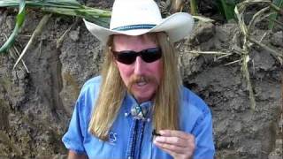 Frank Gibbs NRCS Resource Soil Scientist sharing from a root pit [upl. by Mian574]