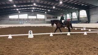 OC Dressage Training Level Test D CC Craig on Big Mac University of Guelph Ridgetown Campus [upl. by Euginimod]