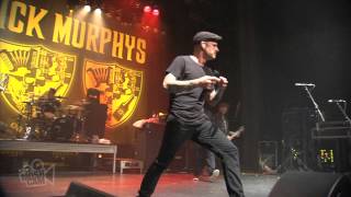 Dropkick Murphys  Deeds Not Words Live in Sydney  Moshcam [upl. by Ayokahs]