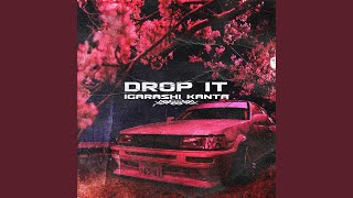 Drop It [upl. by Suciram]