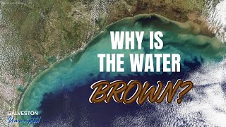 Why is Galvestons Water Brown [upl. by Nytsrik]