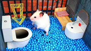 🐹 Hamster Escapes the Creative Maze for Pets in real life 🐹 in Hamster Stories [upl. by Kara-Lynn]