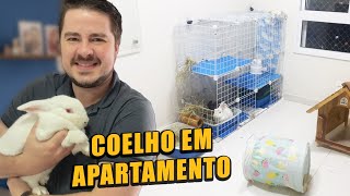 MUDA TUDO Como criar COELHOS em Apartamento [upl. by Naitsirt]