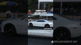 Camaro SS vs Mustang 50 Coyote arrancones [upl. by Nosinned]