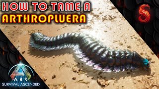 ARK SURVIVAL ASCENDED HOW TO TAME A ARTHROPLUERA [upl. by Rendrag]