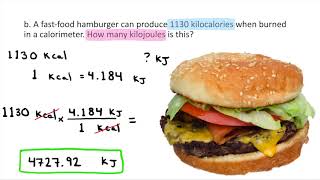 Converting between Kilocalories and Kilojoules [upl. by Mcgee]