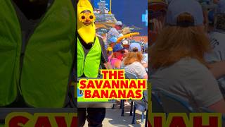 shorts Best Things to do With the Family  Savannah Bananas [upl. by Chally300]