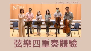 NTSO X LOL笑哈哈之弦樂四重奏體驗 [upl. by Euhc]