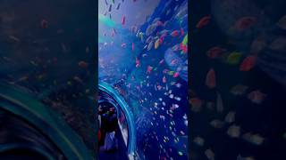 Aquaworld Under Water Marine Fest Asramam Maidanam Kollam 2023 Aquafest asramam short shortsfeed [upl. by Eirahs]