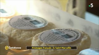 Fromages français  le SaintMarcellin [upl. by Dahij34]