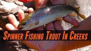 TROUT Fishing Spinners In Creeks amp Rivers  COMPLETE Guide To SUCCESS [upl. by Jabon628]