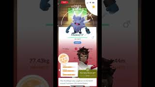 My monkey comm day wrap up pokemon pokemongo [upl. by Nosirb]