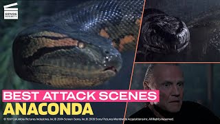 Best Attack Scenes from the Anaconda Movies Top 10 [upl. by Zohara]